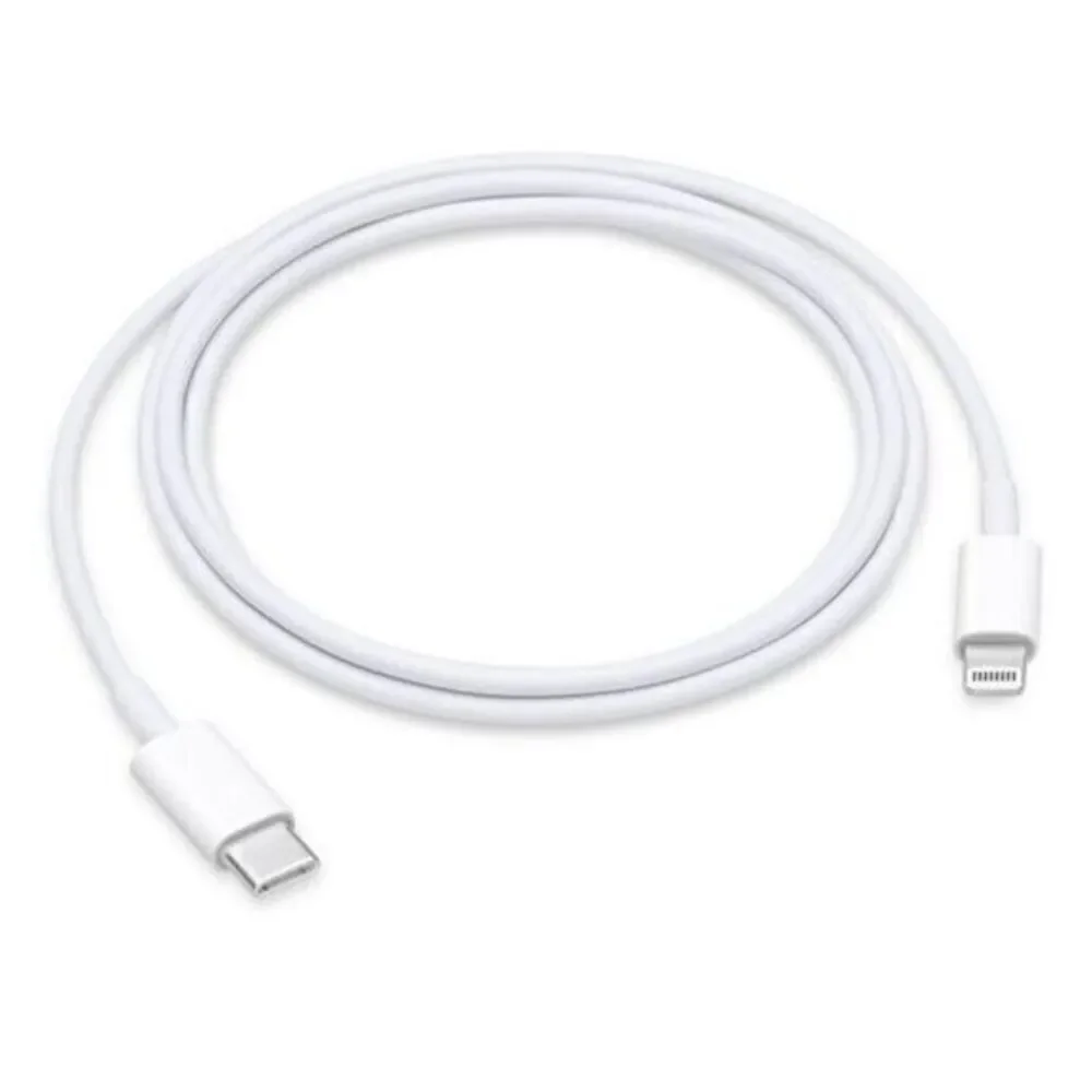 Apple iPhone charger